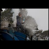 I11159_MG_0498