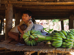 o-0730513-3.jpg